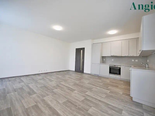 Prodaný  byt 2+kk 60 m²