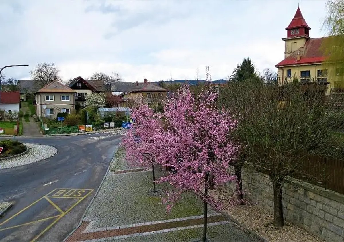 Prodej bytu 1+1 37 m²