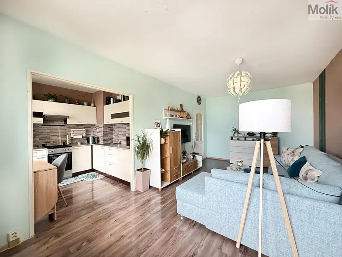 Prodej bytu 2+1 60 m²