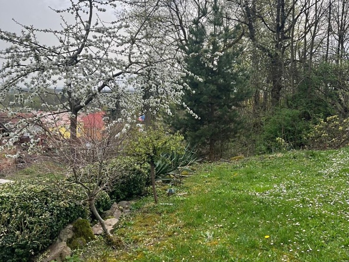 Prodej chaty 36 m², pozemek 508 m²