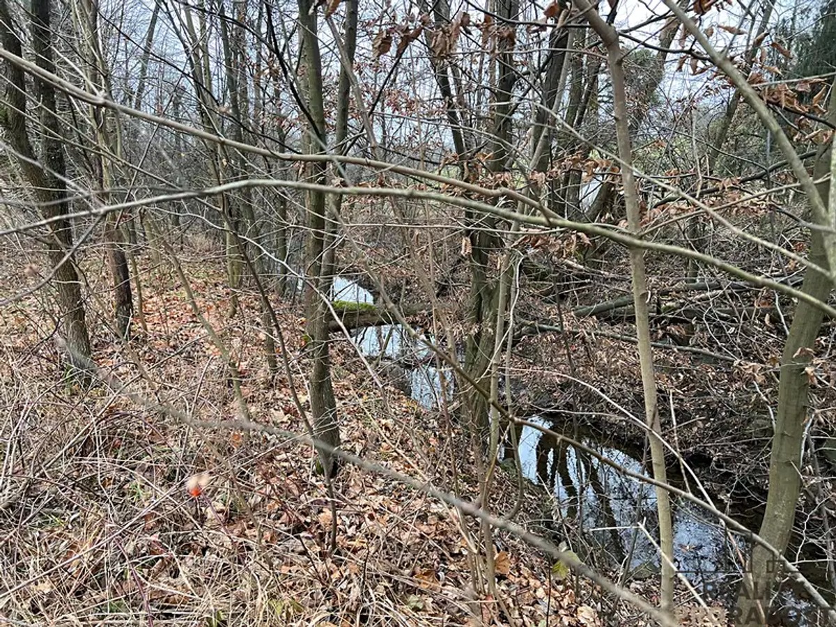 Prodej domu 228 m², pozemek 1001 m²