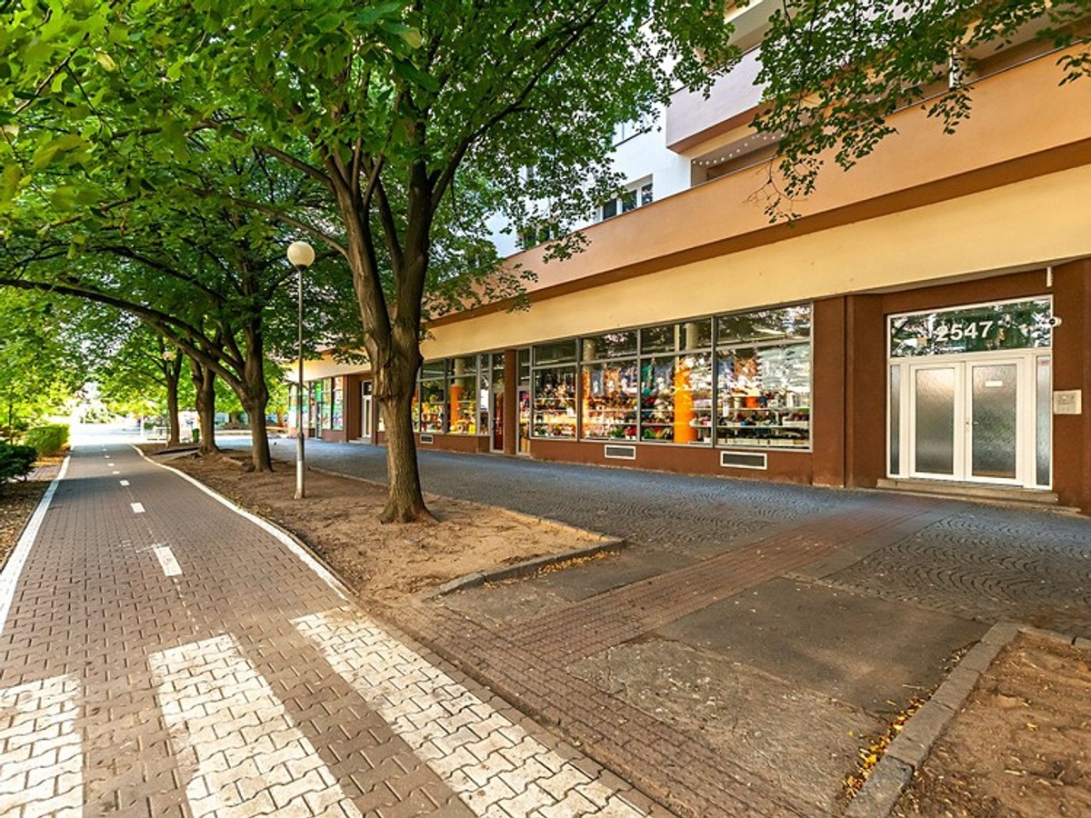 Prodaný byt 3+1 92 m²