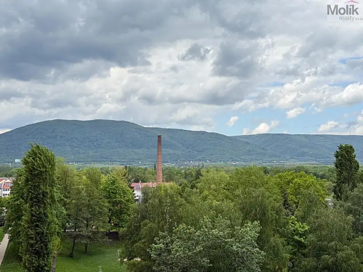 Prodej bytu 2+1 60 m²