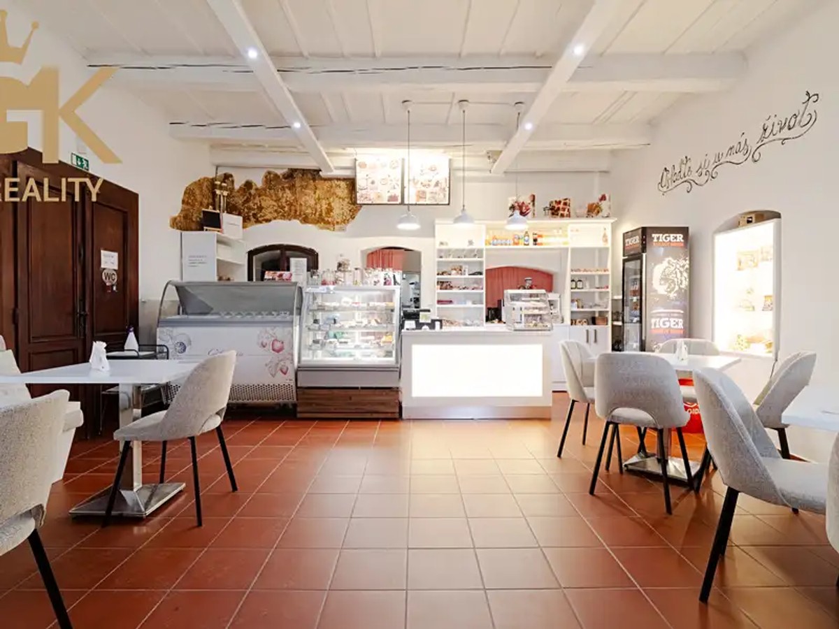 Prodej domu 500 m², pozemek 226 m²
