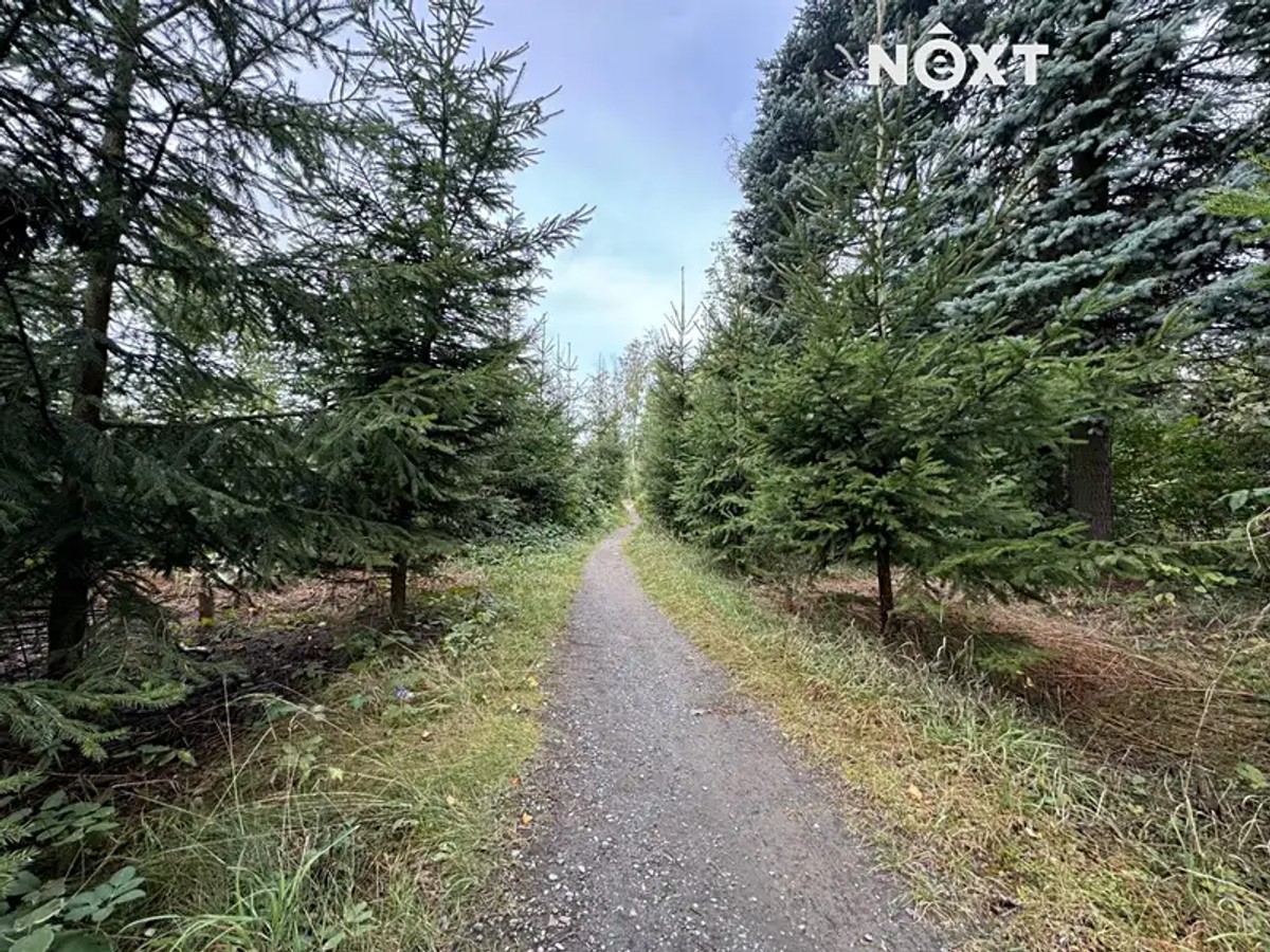 Prodej domu 250 m², pozemek 1225 m²