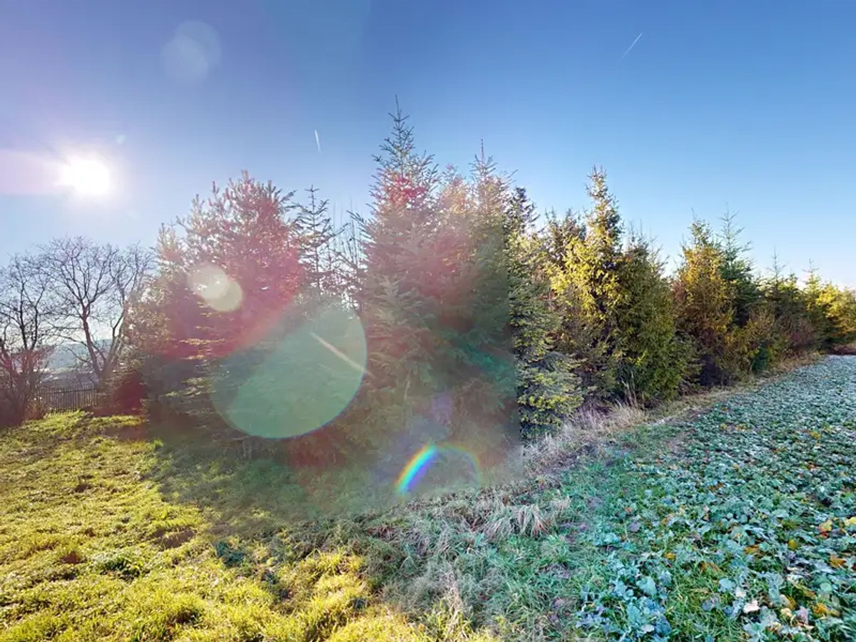 Prodej stavebního pozemku 1229 m²
