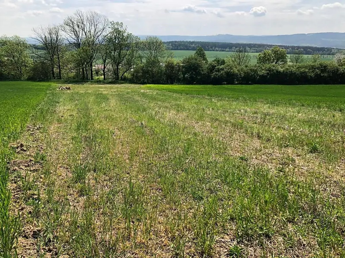 Prodej stavebního pozemku 1589 m²
