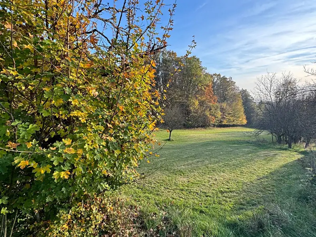 Prodej stavebního pozemku 345 m²