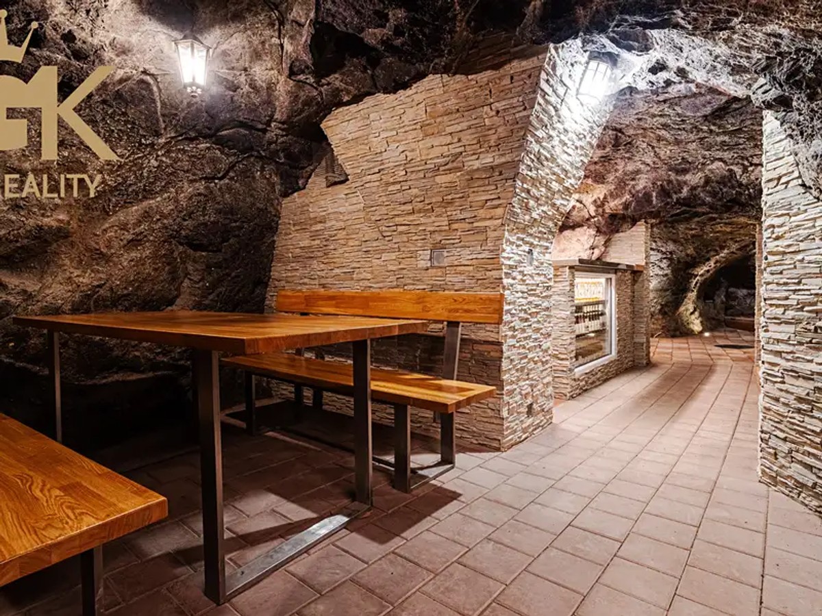 Prodej domu 500 m², pozemek 226 m²
