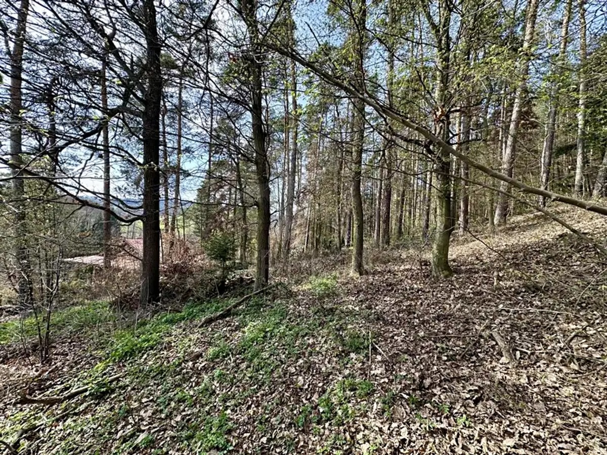 Prodej domu 230 m², pozemek 1948 m²