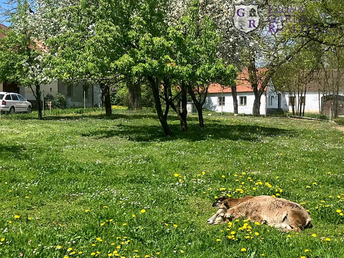 Prodej chalupy 63 m², pozemek 956 m²
