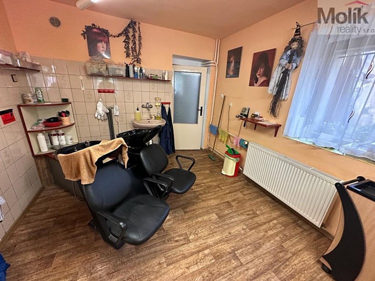 Prodej domu 397 m², pozemek 359 m²