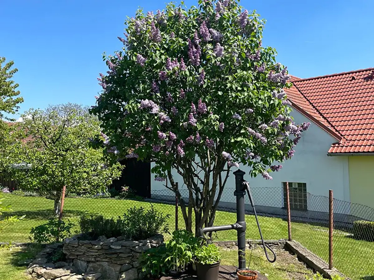 Prodej chalupy 114 m², pozemek 325 m²
