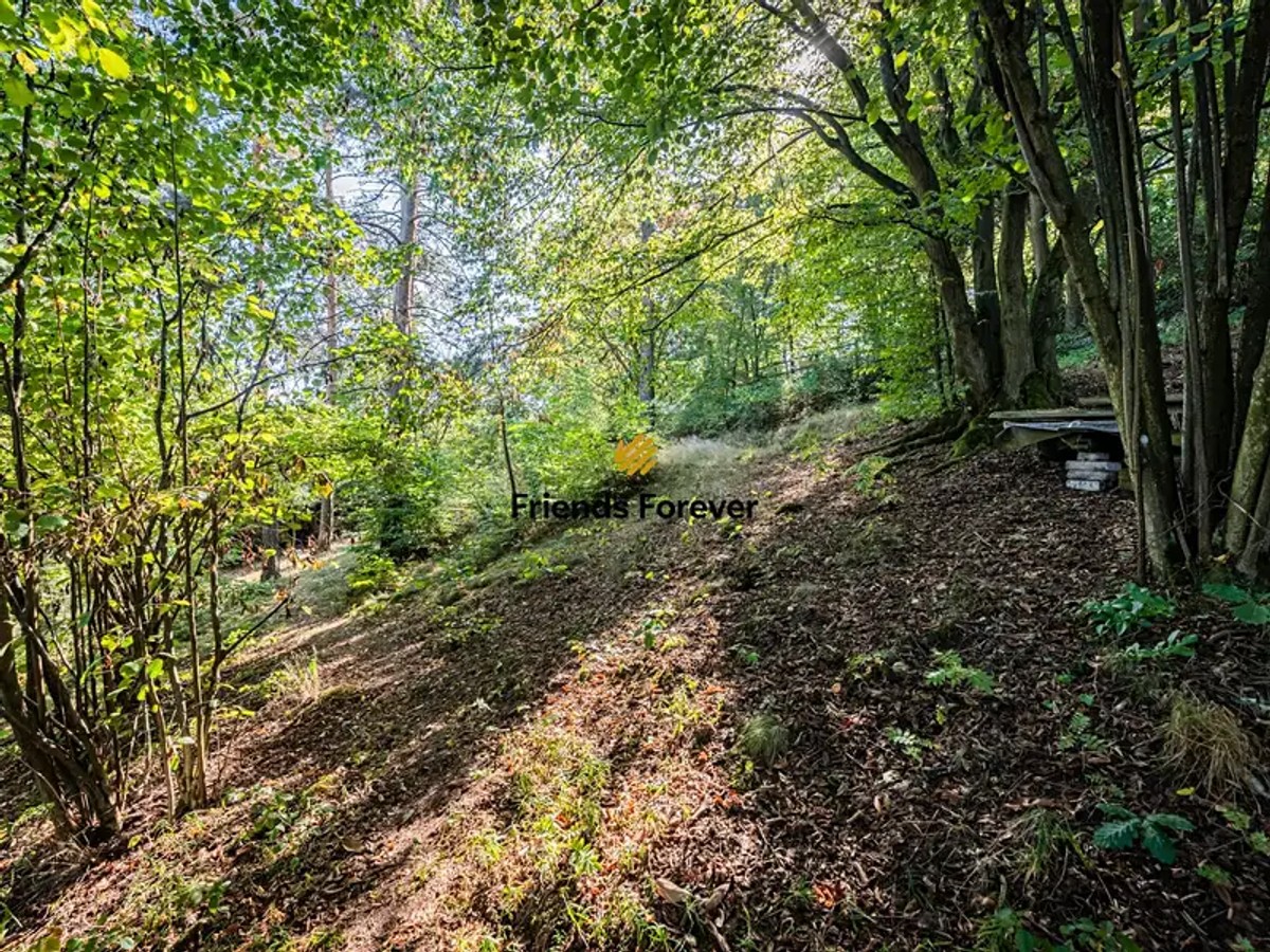 Prodej domu 142 m², pozemek 1619 m²