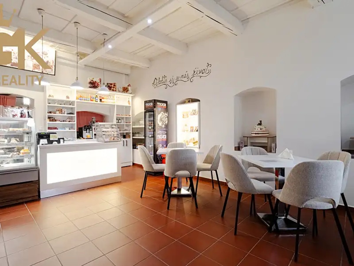 Prodej domu 500 m², pozemek 226 m²