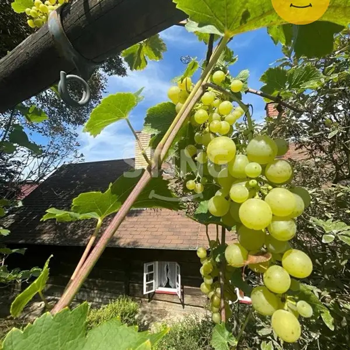 Prodej chalupy 170 m², pozemek 1600 m²