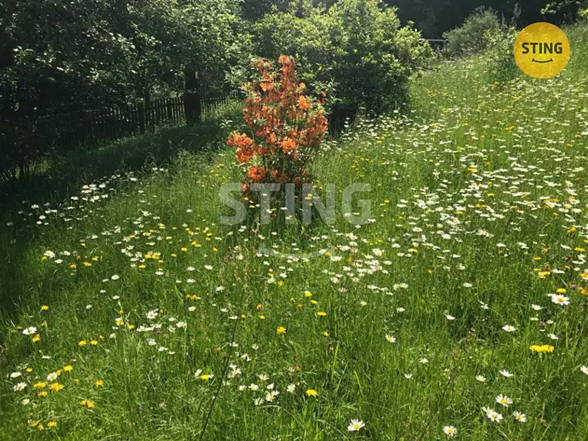 Prodej chalupy 170 m², pozemek 1600 m²