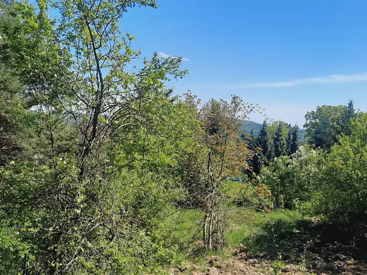 Prodej chaty 25 m², pozemek 833 m²