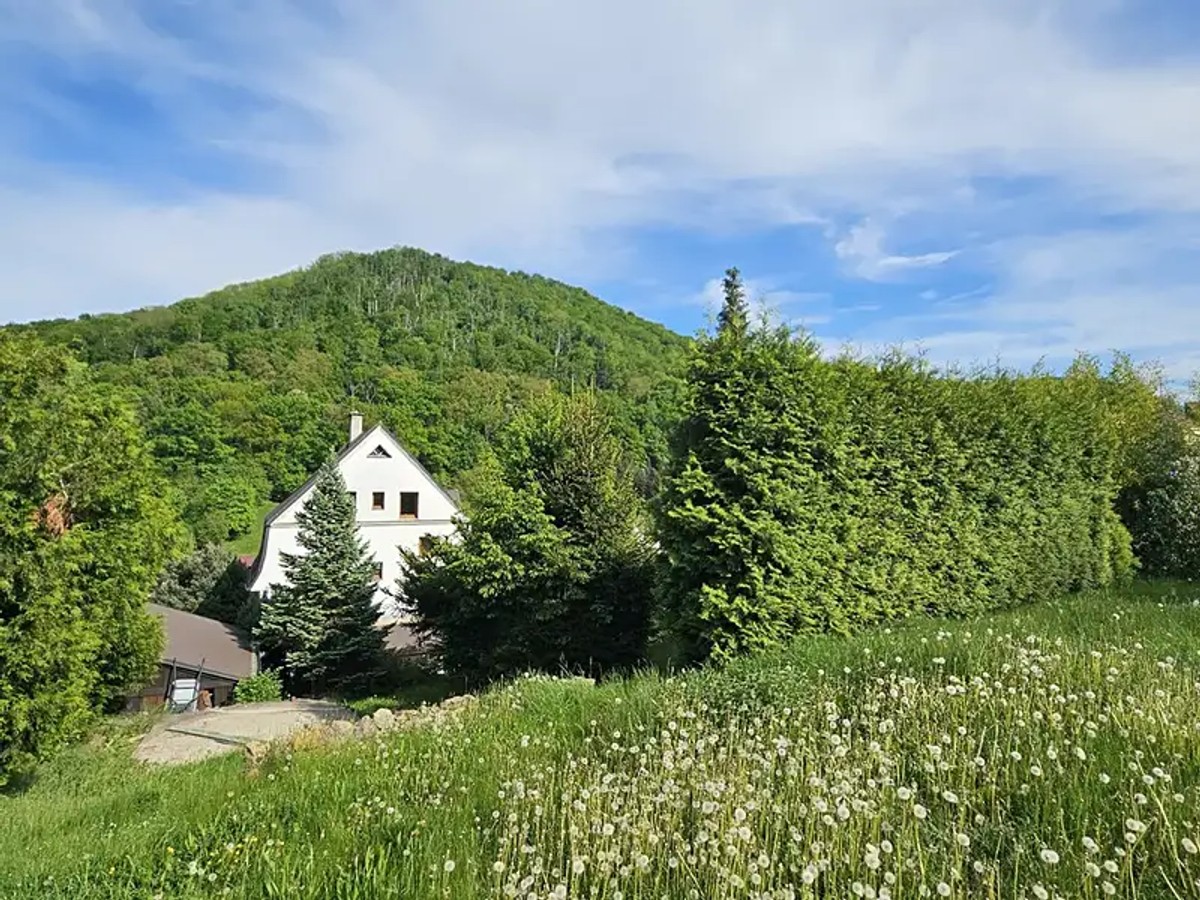 Prodej domu 250 m², pozemek 1117 m²
