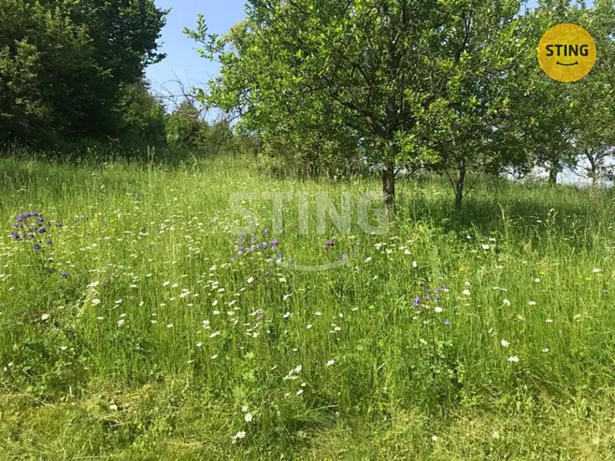 Prodej chalupy 170 m², pozemek 1600 m²