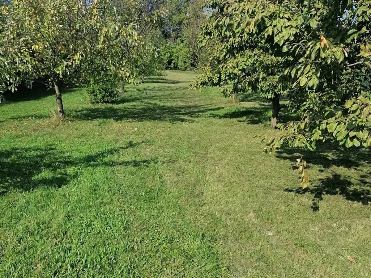 Prodej stavebního pozemku 1229 m²