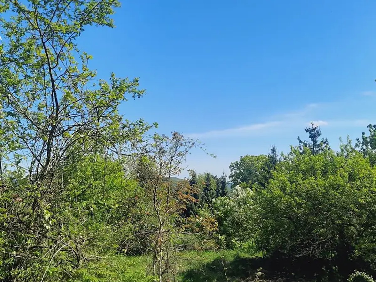 Prodej chaty 25 m², pozemek 833 m²