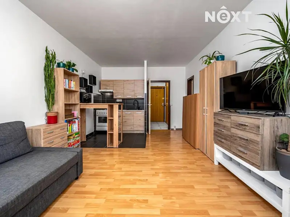 Prodaný byt 1+kk 29 m²