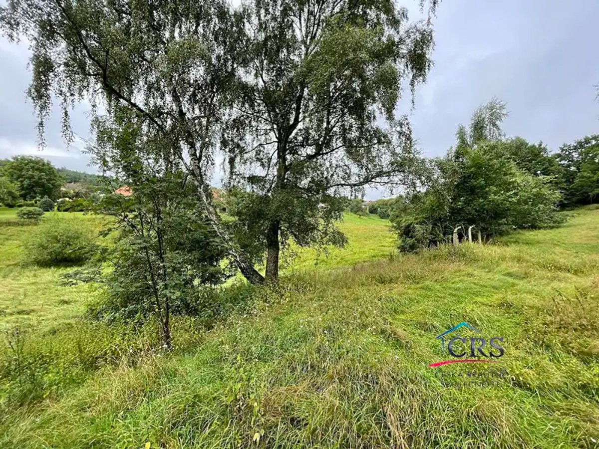 Prodej stavebního pozemku 1595 m²