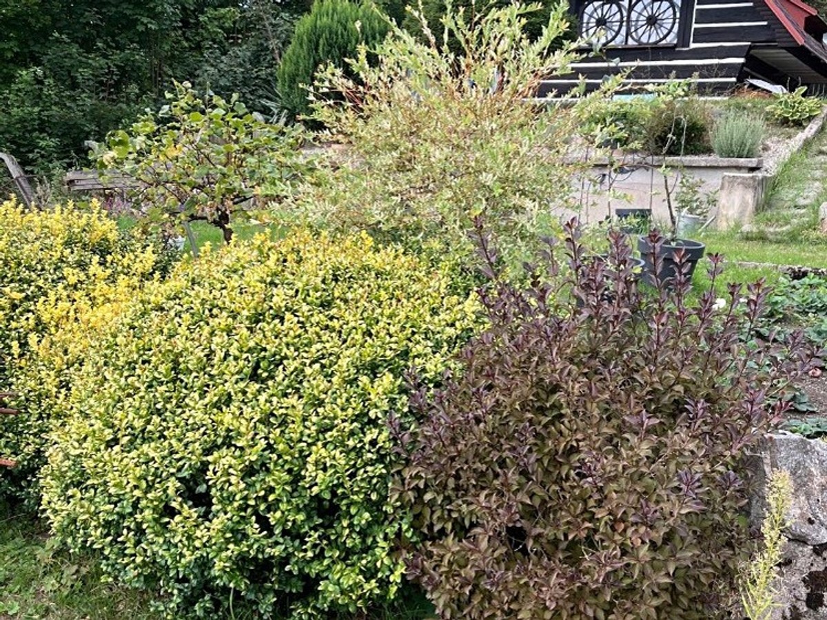 Prodej chaty 36 m², pozemek 508 m²