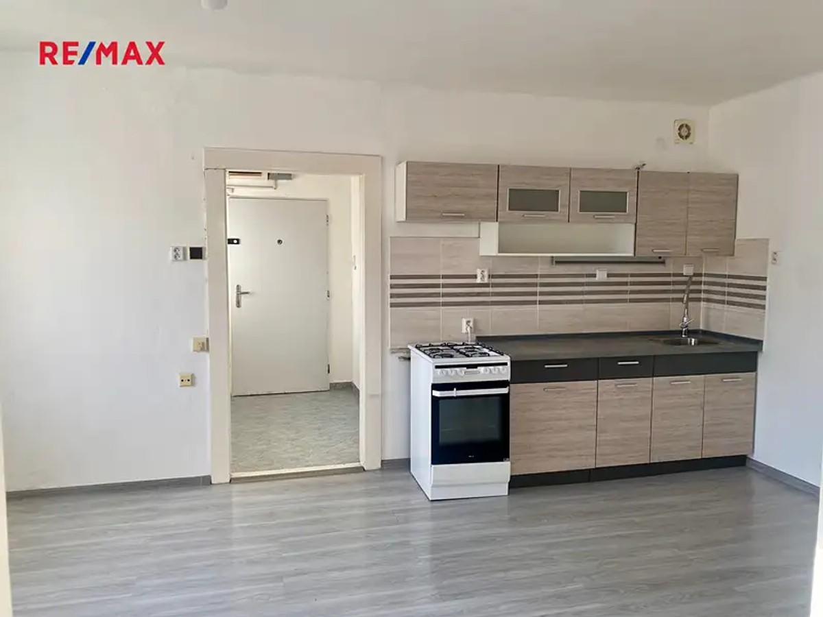 Prodej bytu 1+1 166 m²