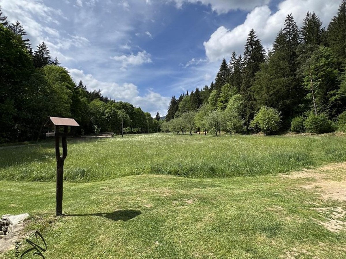 Prodej domu 230 m², pozemek 700 m²