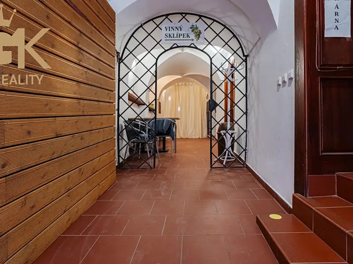 Prodej domu 500 m², pozemek 226 m²