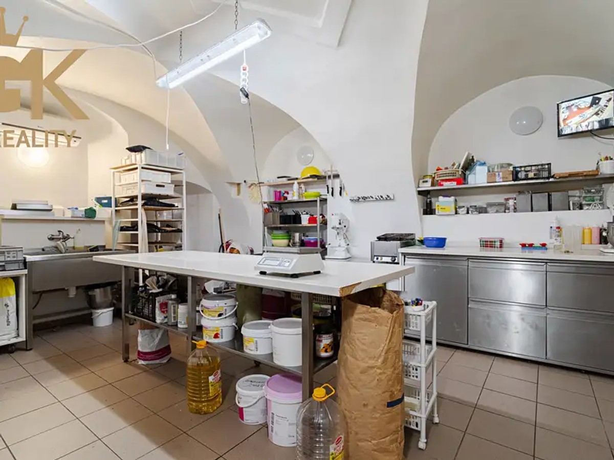 Prodej domu 500 m², pozemek 226 m²