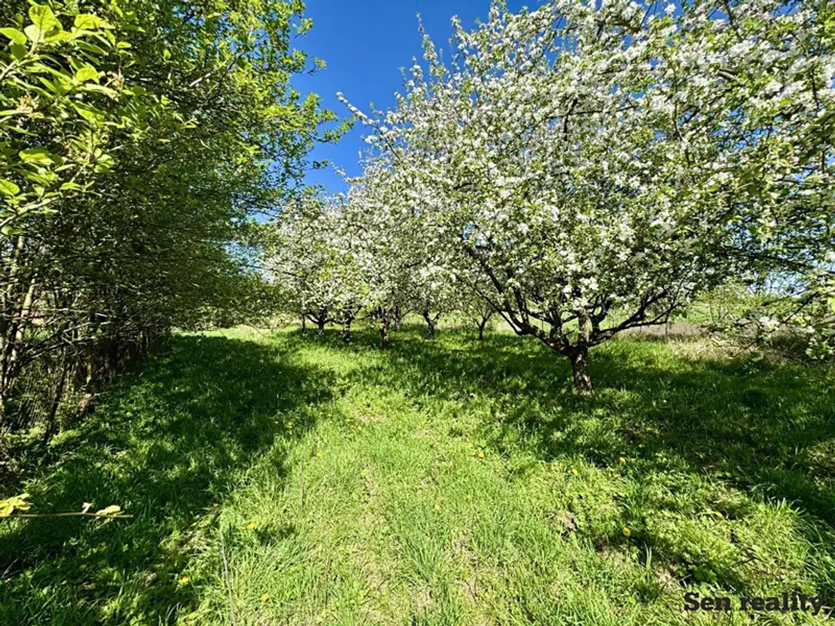 Prodej chaty 50 m², pozemek 3174 m²