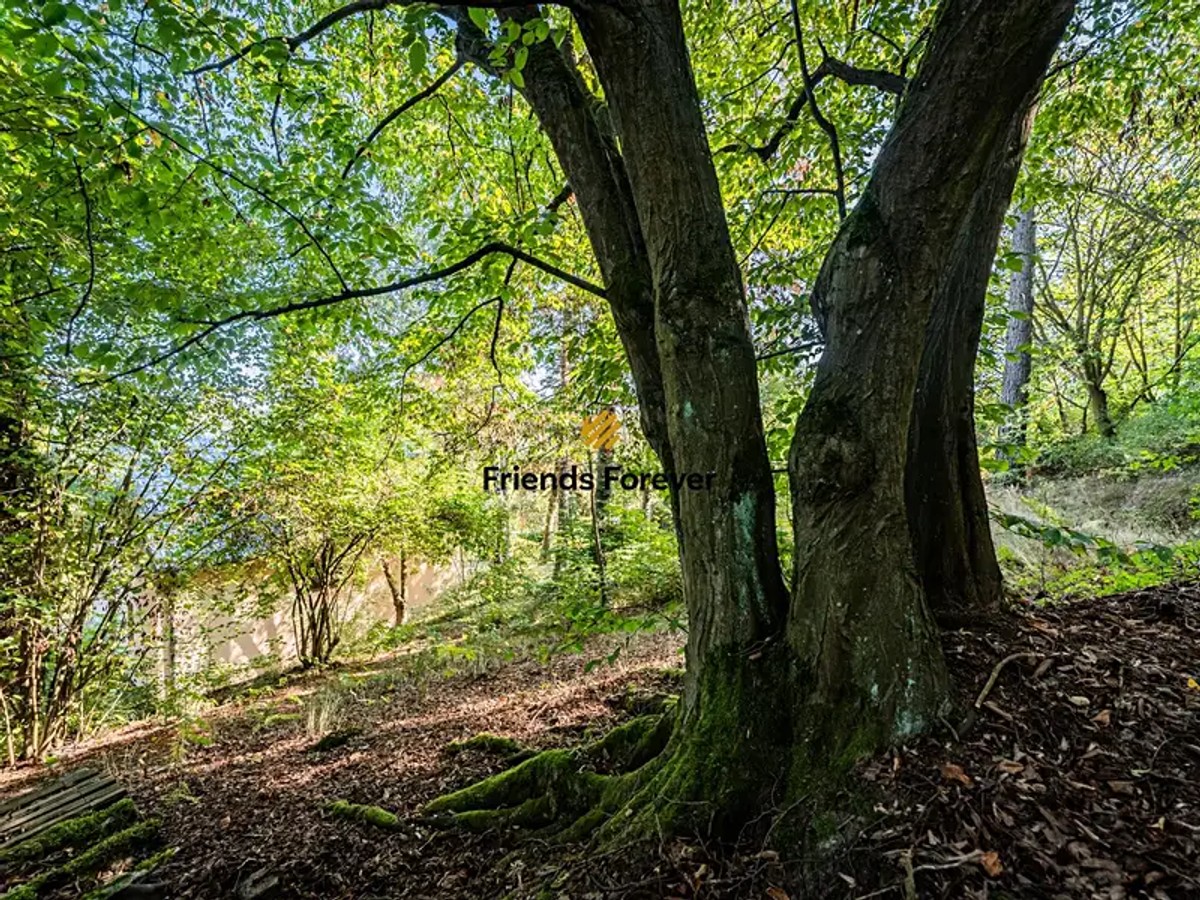 Prodej domu 142 m², pozemek 1619 m²