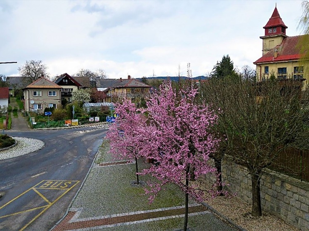 Prodej bytu 4+1 150 m²