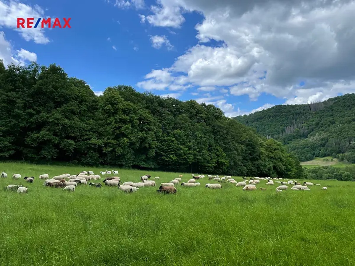 Prodej stavebního pozemku 1249 m²