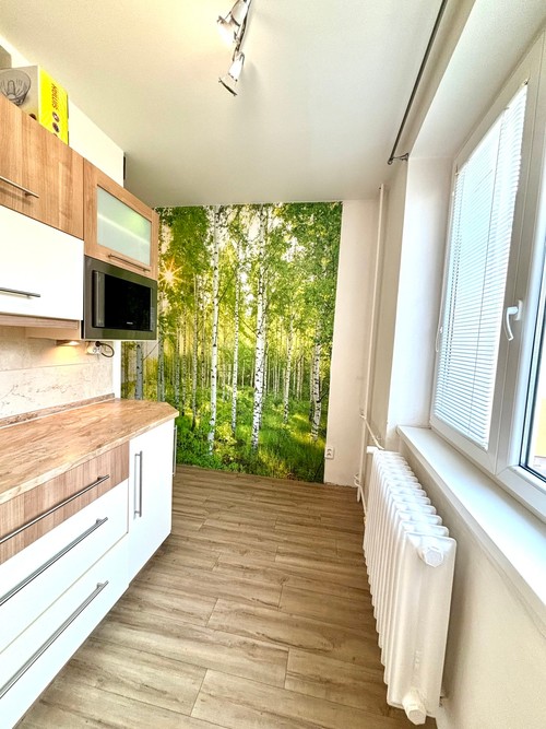 Prodaný byt 2+1 54 m²