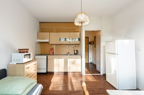 Prodaný byt 1+1 34 m²