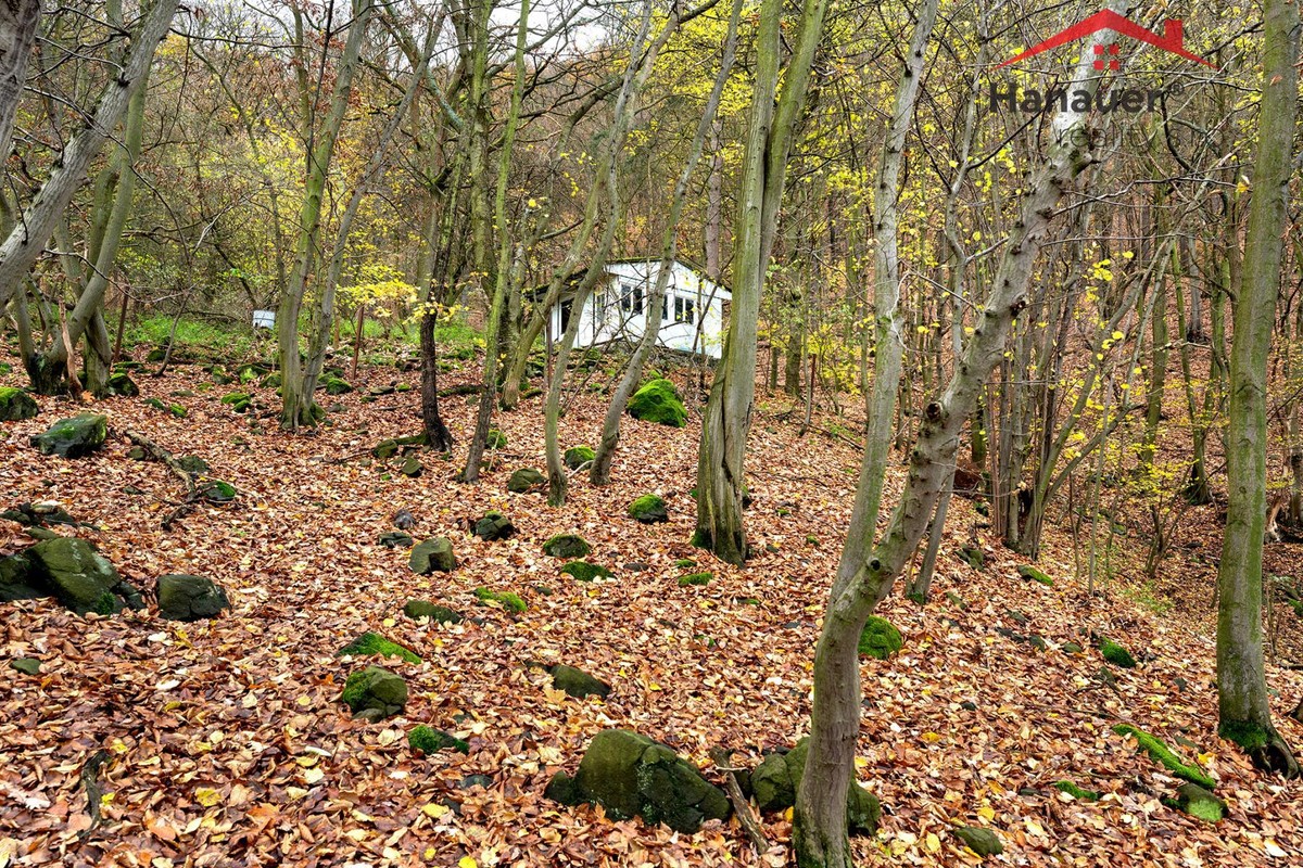 Prodej chaty 18 m², pozemek 4961 m²