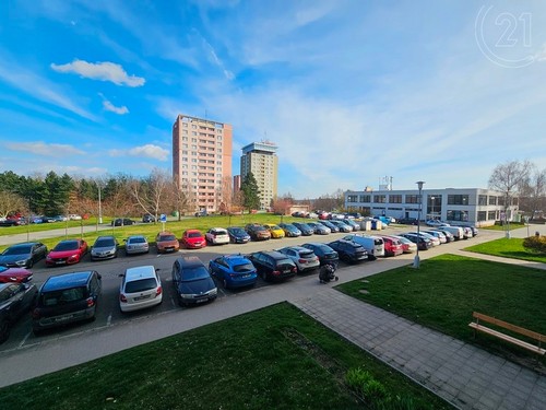 Prodaný byt 1+1 31 m²