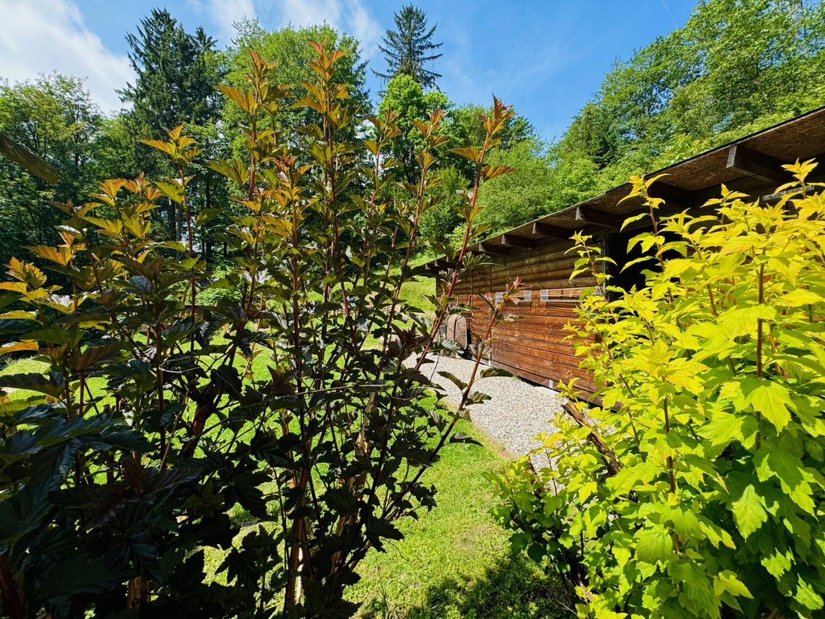 Prodej domu 90 m², pozemek 1567 m²