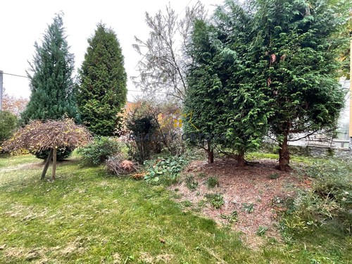 Prodej domu 250 m²