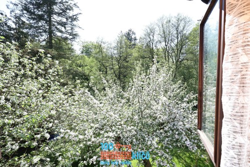 Prodej chaty 75 m², pozemek 1054 m²