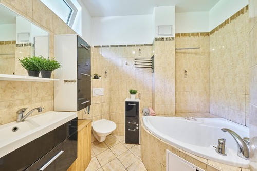 Prodaný byt 3+1 60 m²