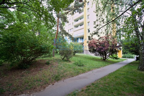 Prodaný byt 3+1 66 m²
