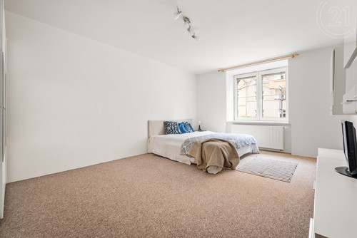 Prodaný byt 1+1 48 m²