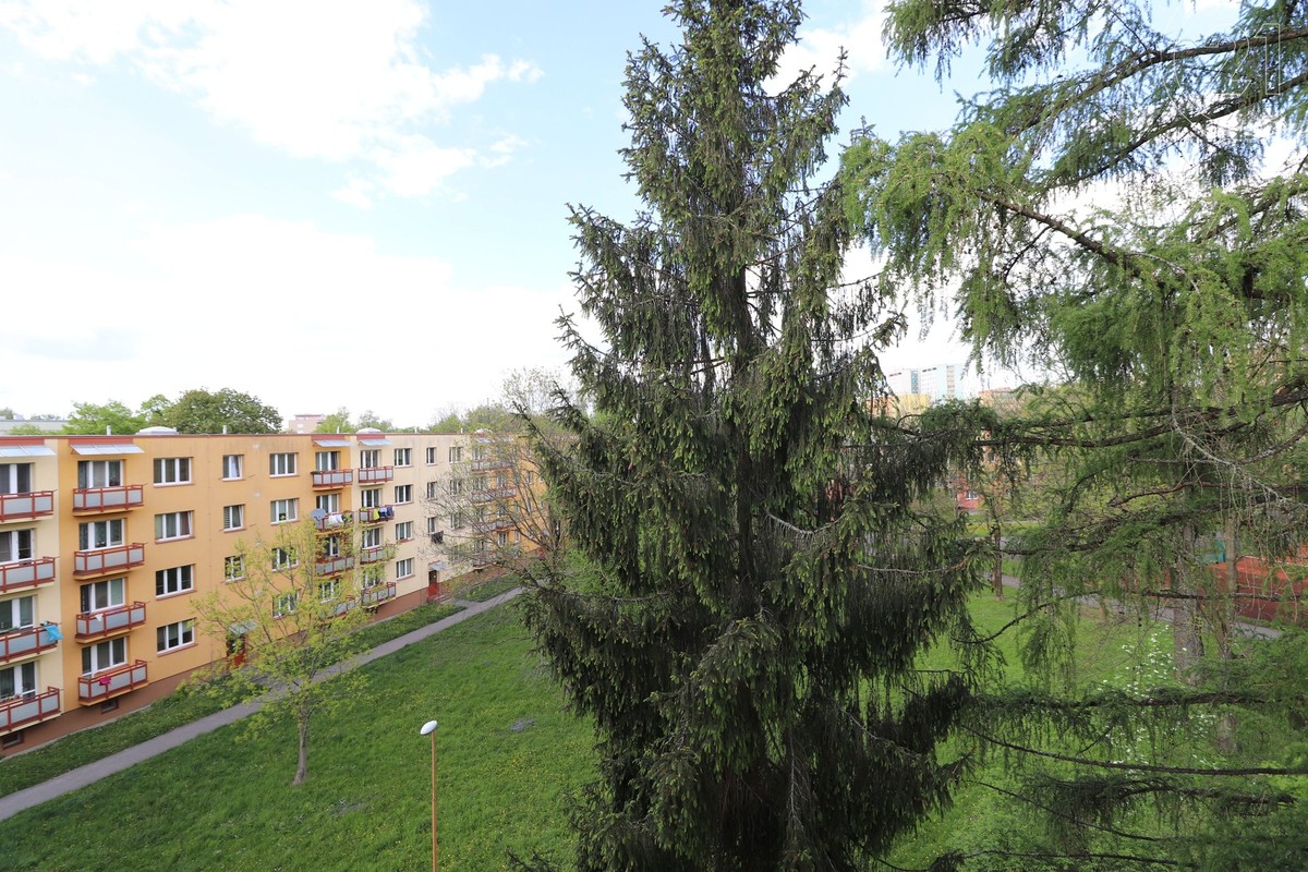 Prodej bytu 3+1 62 m²