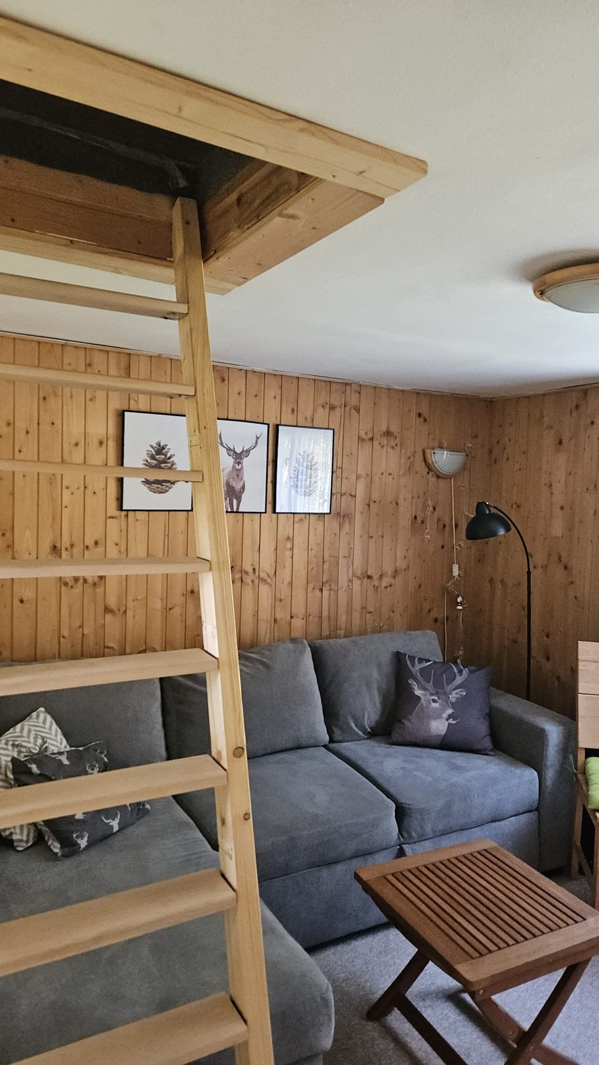 Prodej chaty 30 m², pozemek 495 m²