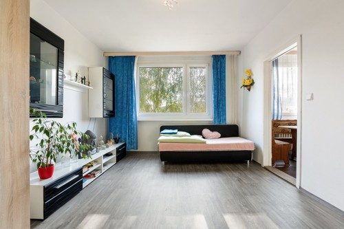 Prodaný byt 1+1 34 m²